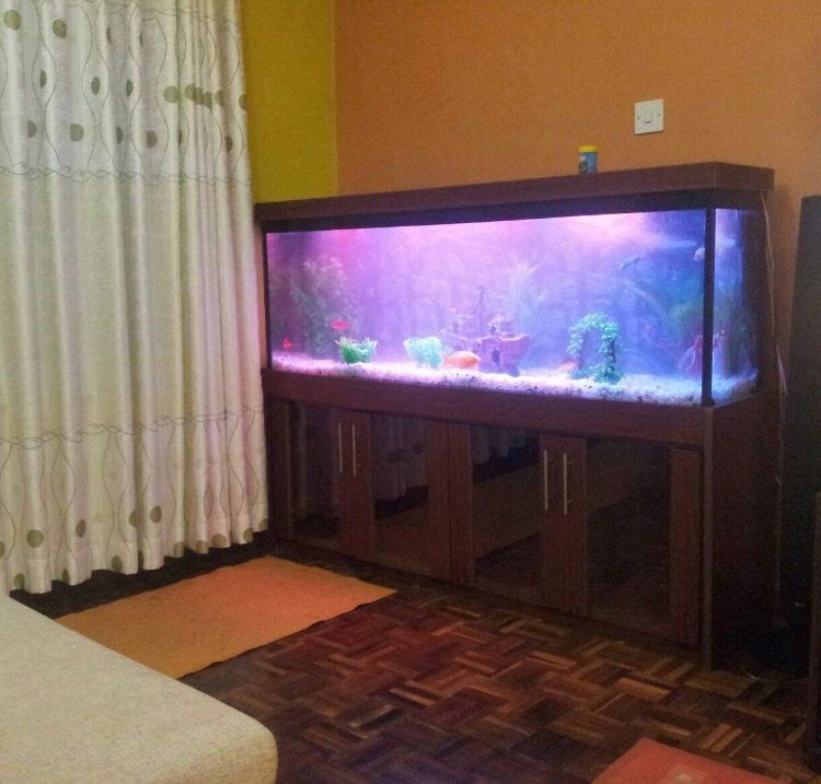 Large aquarium in a cabinet stand